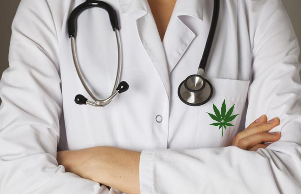 All your questions, answered: 8 things to know about the medical cannabis industry [AMA with Dr. Morris Laster]